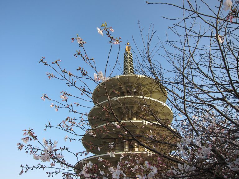 The Japanese community in Japantown, San Francisco