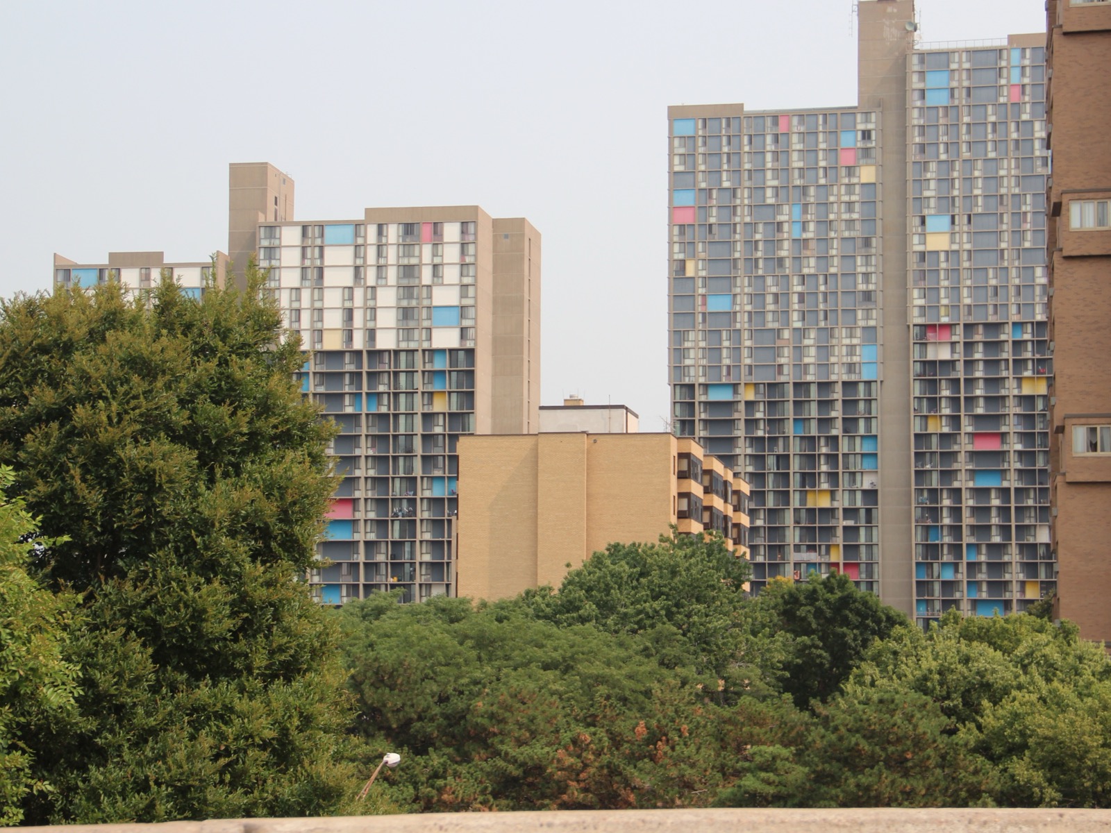 The Somali community in Cedar-Riverside, Minneapolis