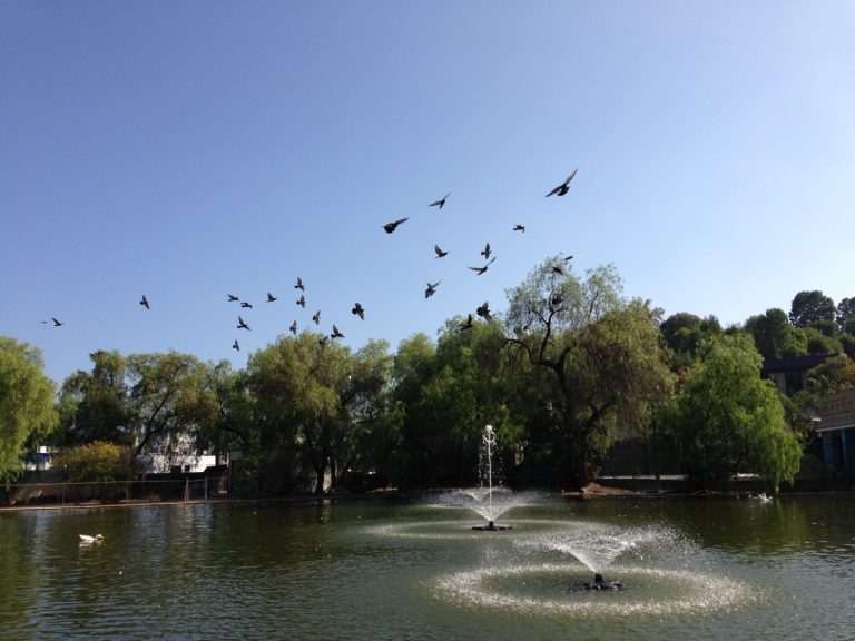 The Armenian community in Encino, California