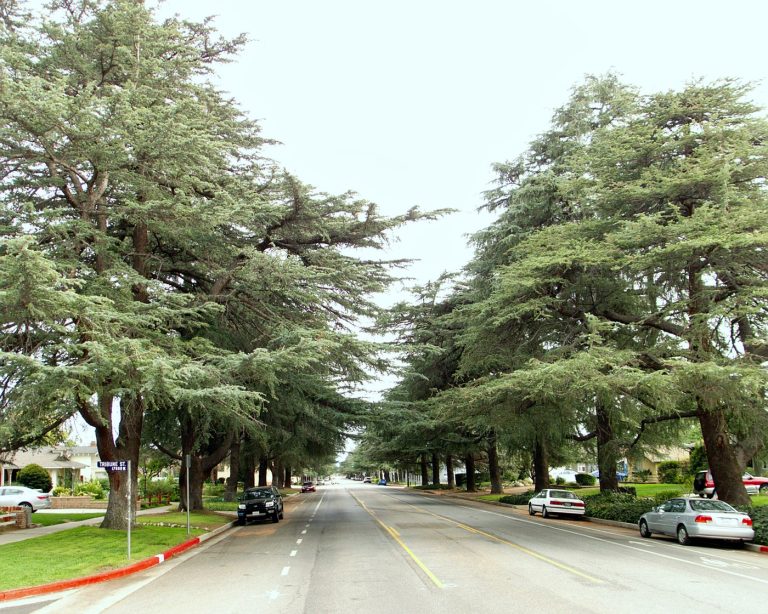 The Armenian community in Granada Hills, California