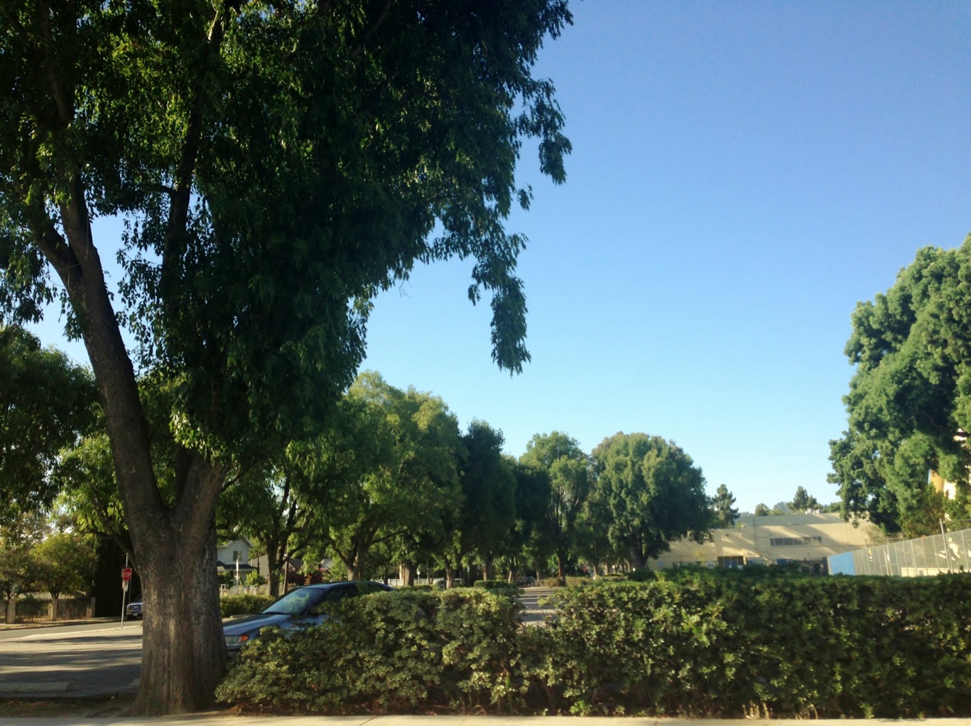 The Armenian community in Sherman Oaks, California