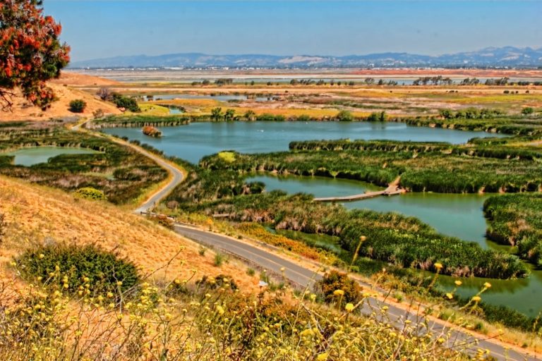 The Chinese community in Fremont, California