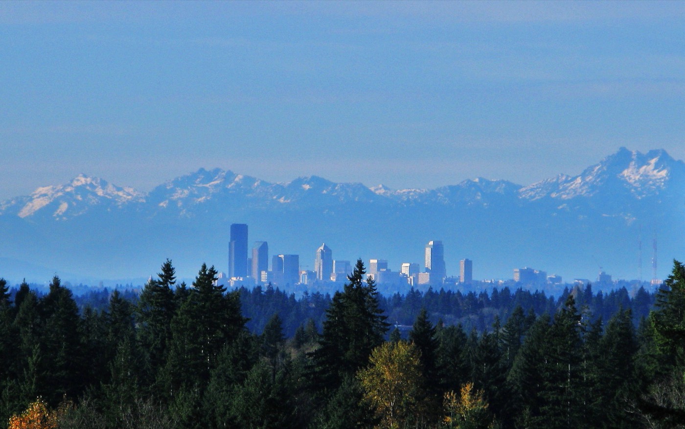 The Chinese community in Sammamish, Washington
