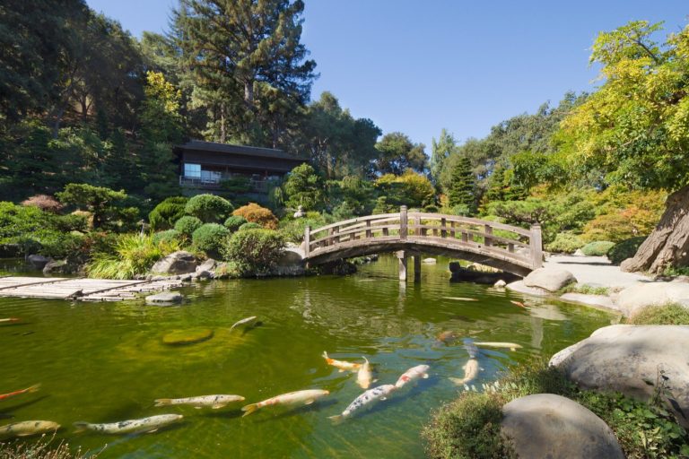 The Chinese community in Saratoga, California