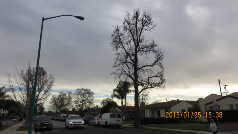 The Chinese community in Temple City, California