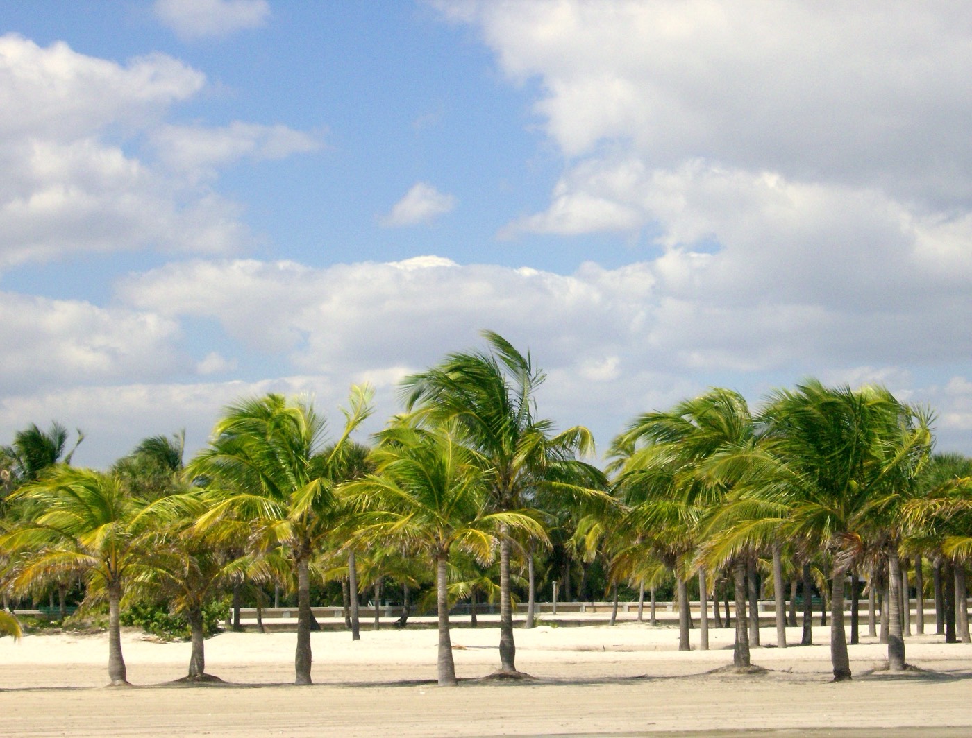 The Cuban community in Key Biscayne, Florida