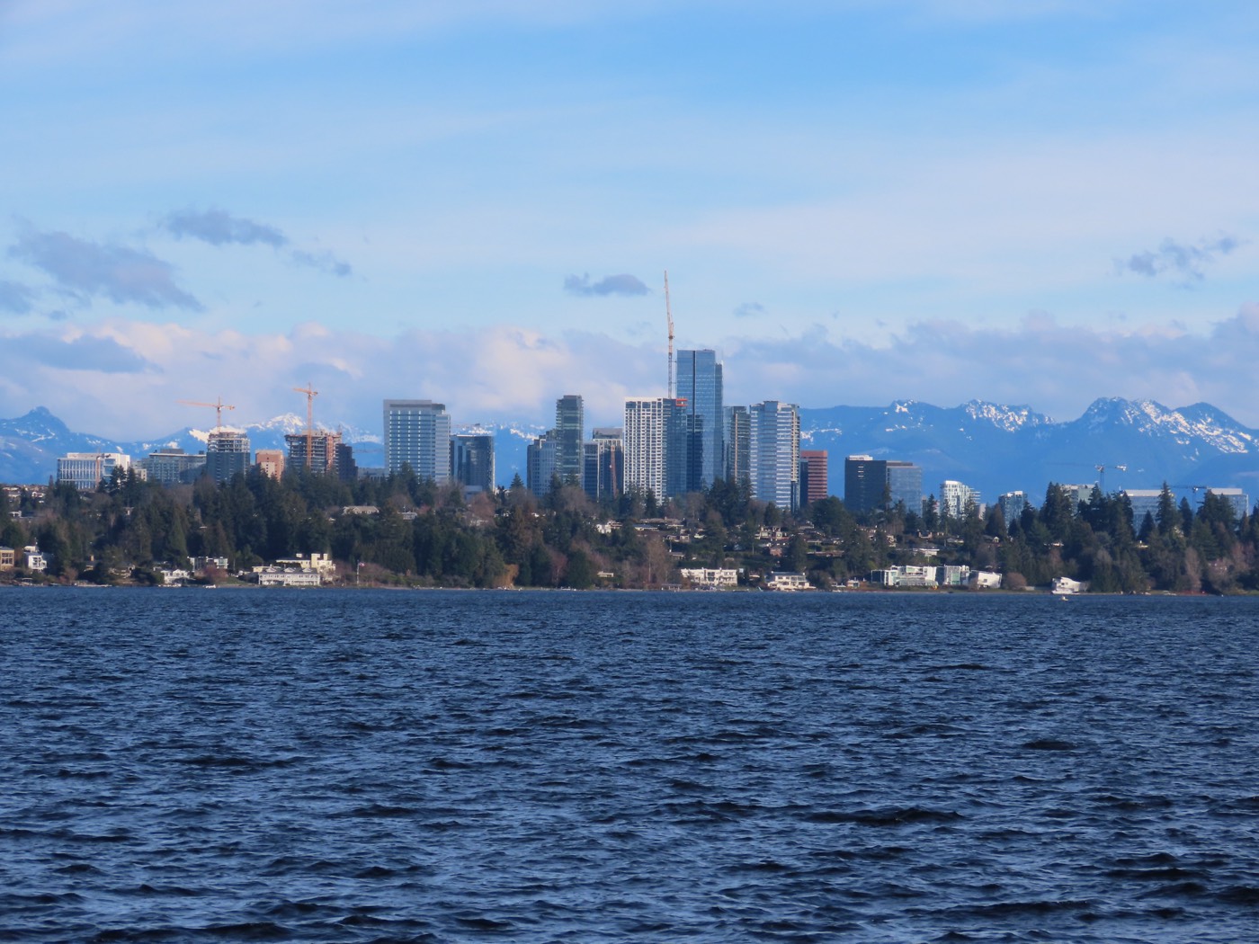 The Indian community in Bellevue, Washington