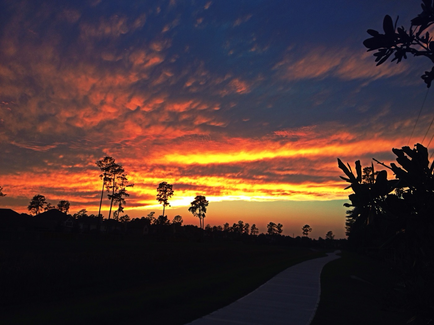 The Indian community in Cypress, Texas