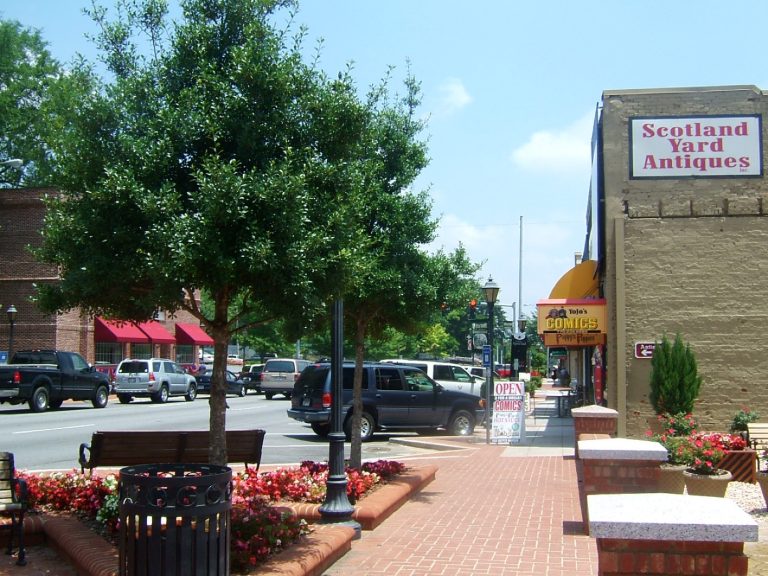 The Indian community in Lawrenceville, Georgia