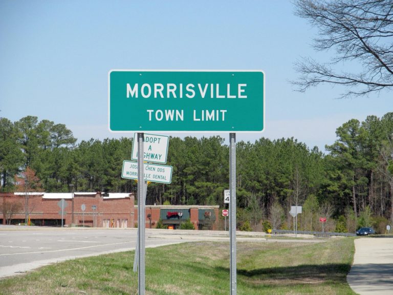 The Indian community in Morrisville, North Carolina