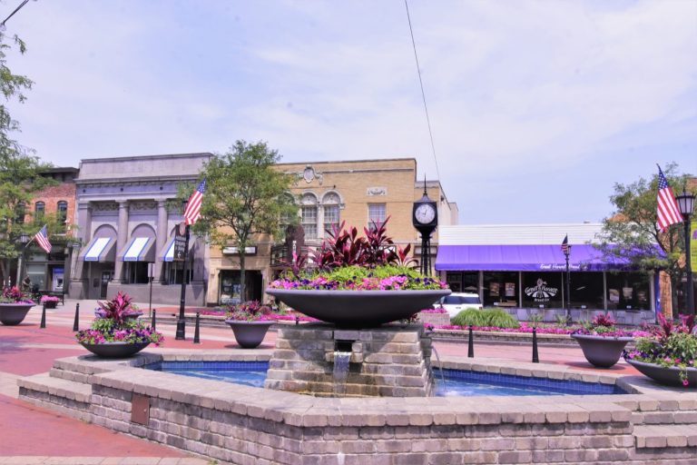 The Indian community in Northville, Michigan