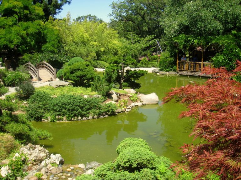 The Indian community in Saratoga, California