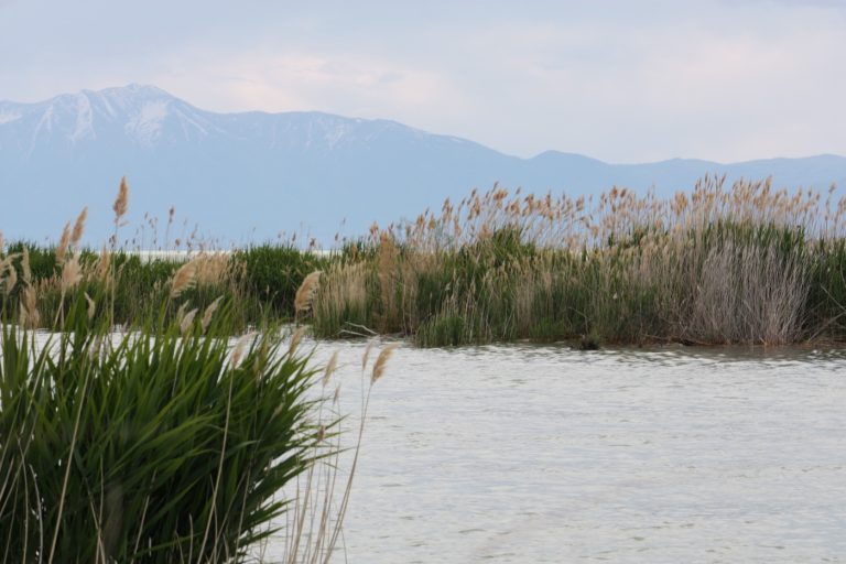 The Indian community in Saratoga Springs, Utah