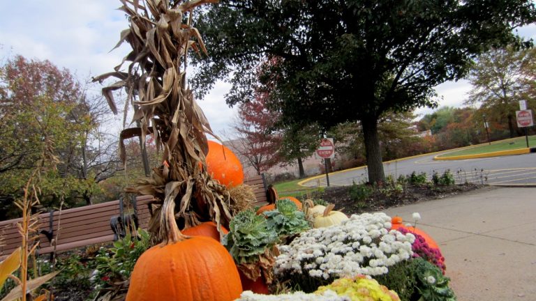 The Indian community in South Brunswick, New Jersey