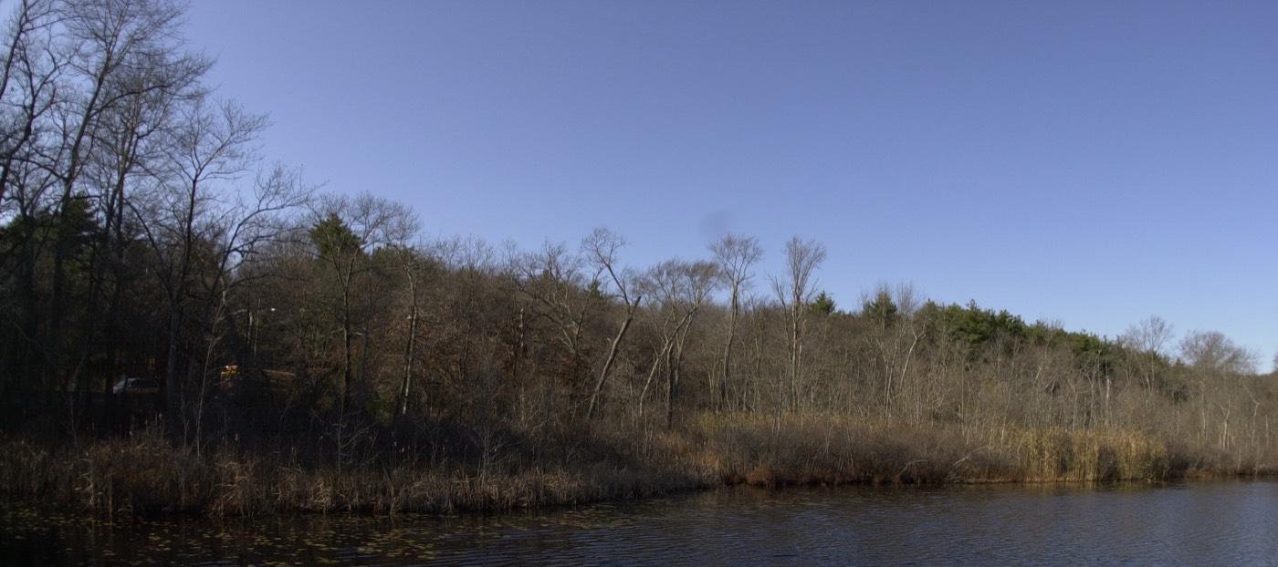 The Irish community in Hyde Park, Massachusetts