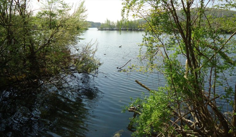 The Italian community in Franklin Lakes, New Jersey