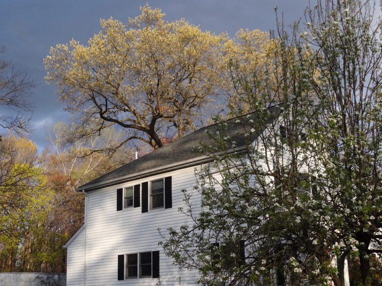 The Italian community in Westwood, New Jersey