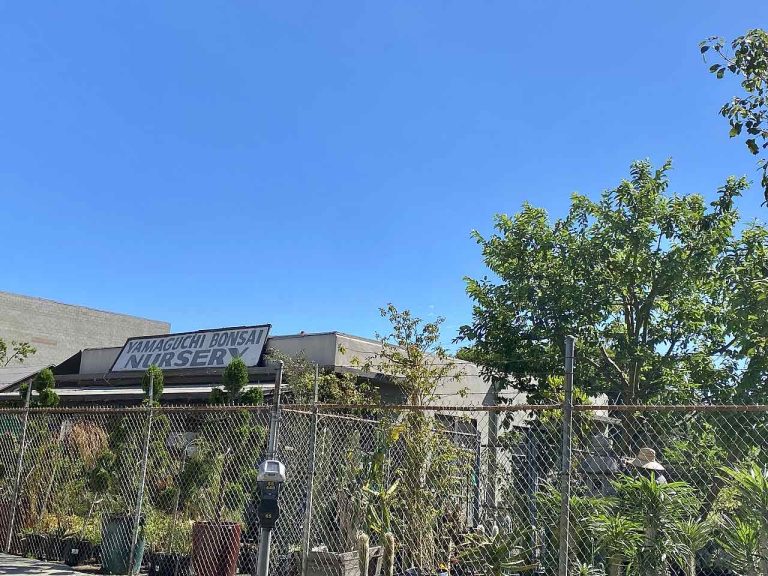The Japanese community in Sawtelle, Los Angeles