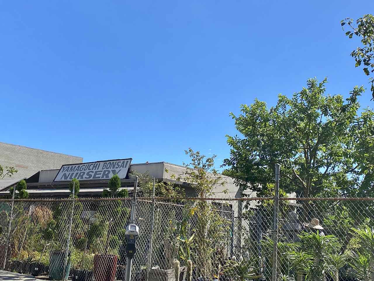 The Japanese community in Sawtelle, Los Angeles