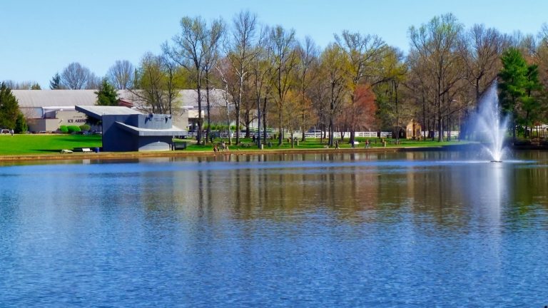 The Nigerian community in Bowie, Maryland