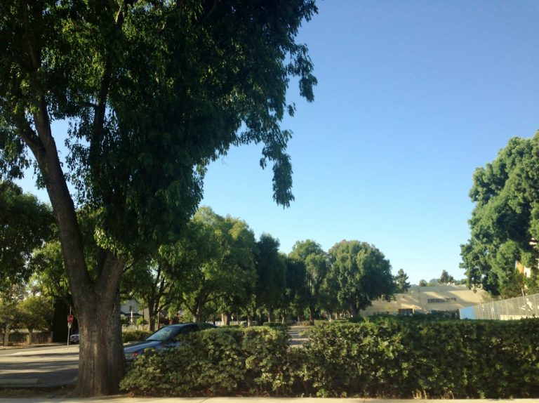 The Persians community in Sherman Oaks, California