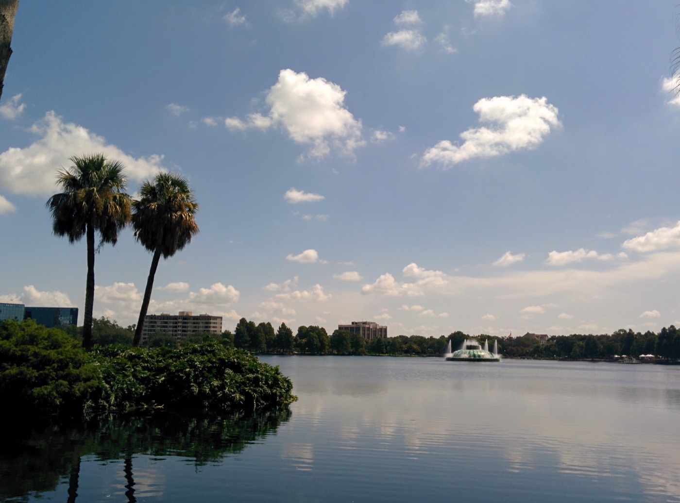 The Venezuelan community in Orlando, Florida
