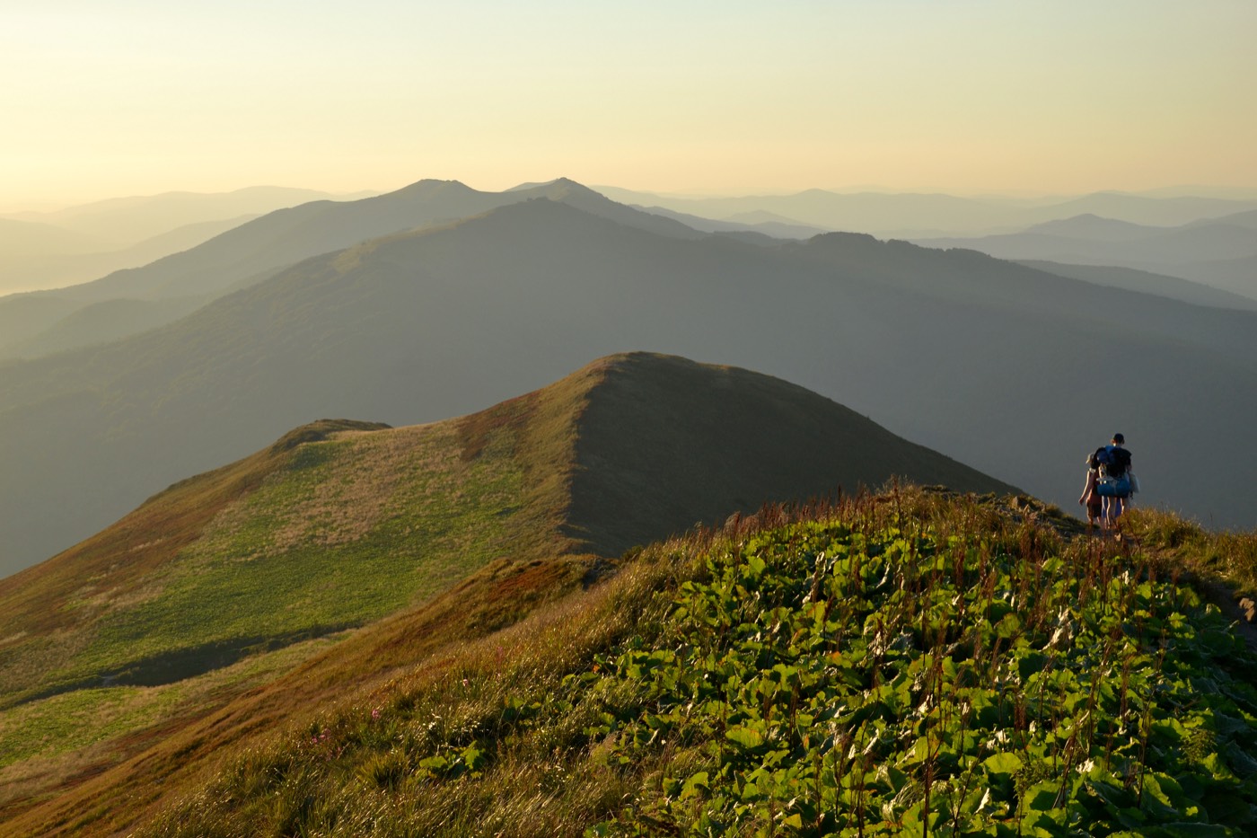 The Boyko surname: the Carpathian highlands of Boykivshchyna