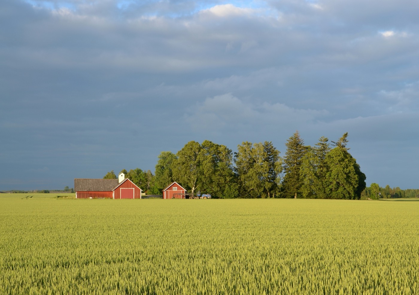 The Carlson surname: farmland in Östergötland, eastern Sweden