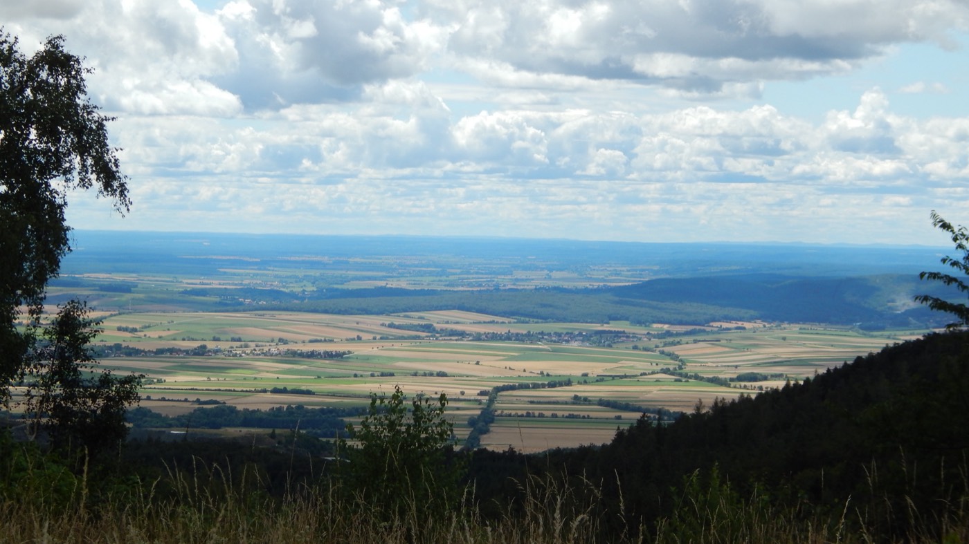 The Horvath surname: the Burgenland plain, western Hungary