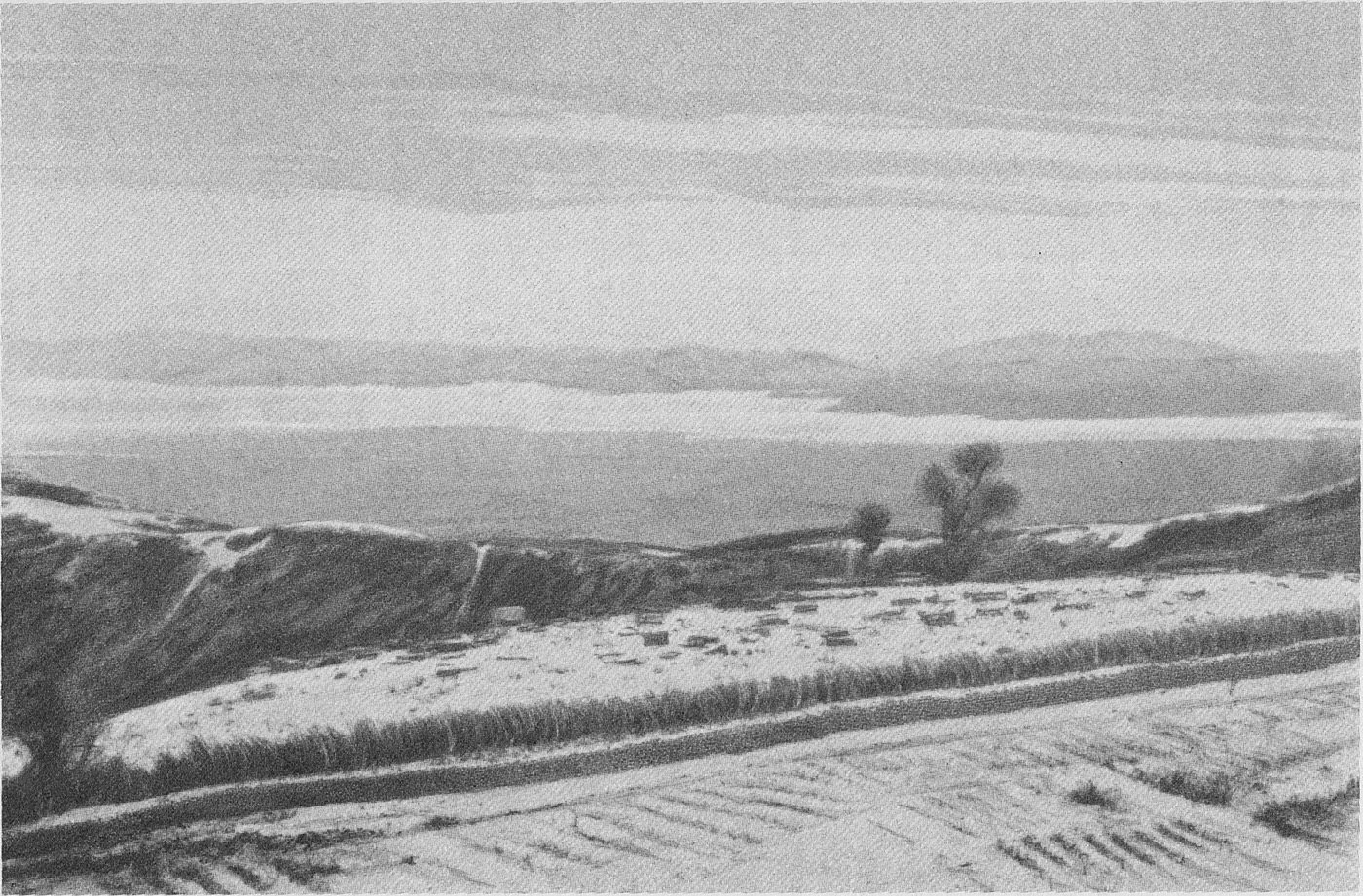 The Karapetyan surname: the Mush plain in historic Taron, Armenia