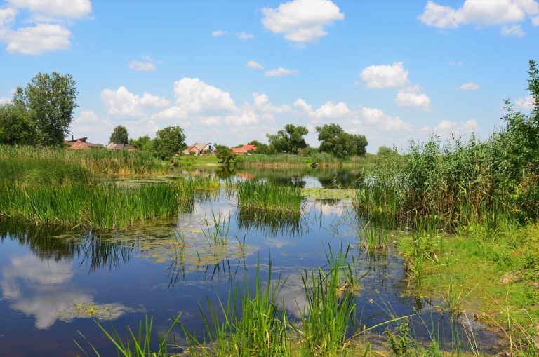 The Koval surname: Kovalivka on the Kolomak river, Poltava Raion, Ukraine