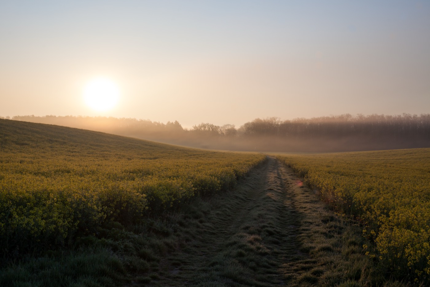 The Marek surname: South Moravia, Czech Republic