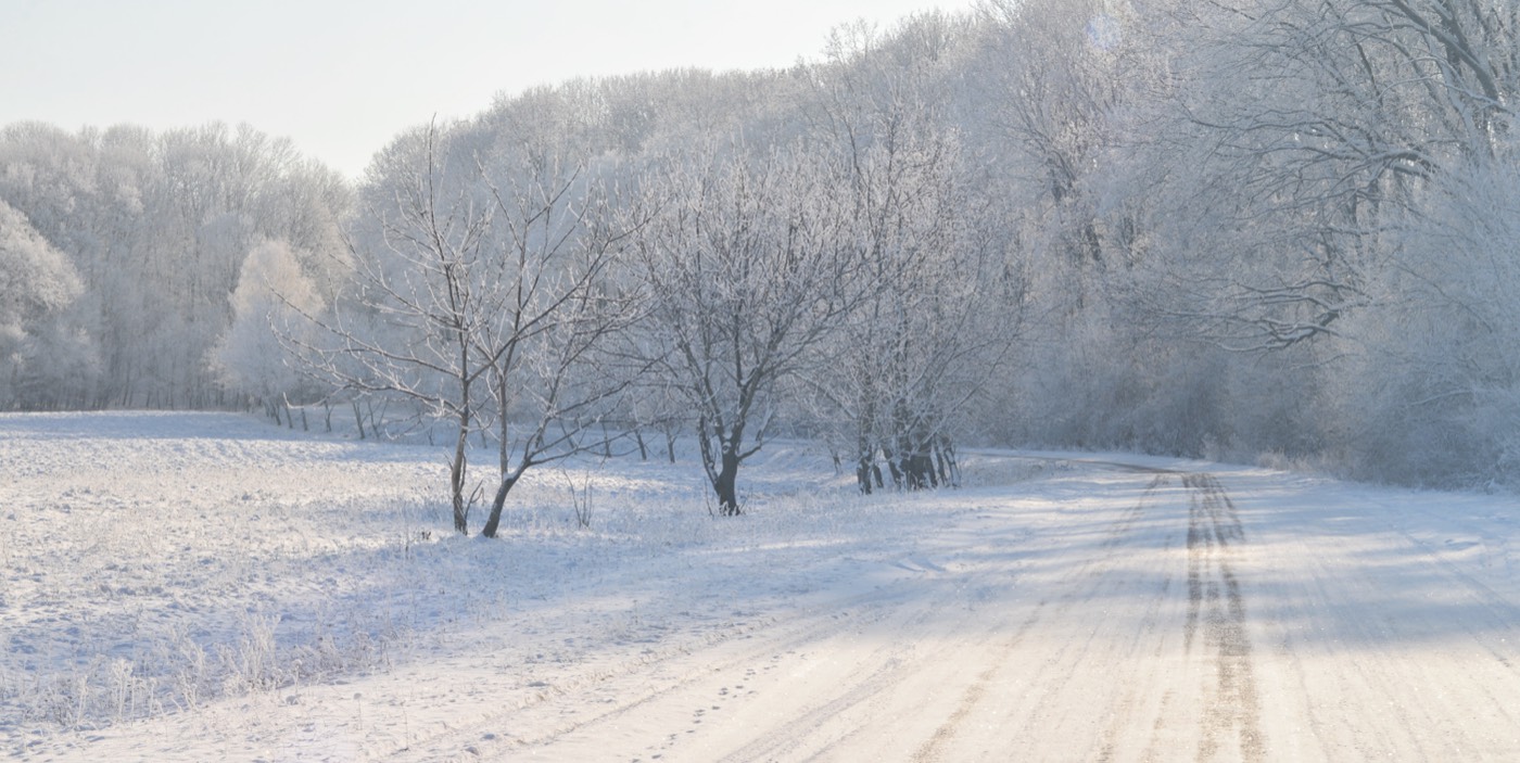 The Moroz surname: winter in Ukraine