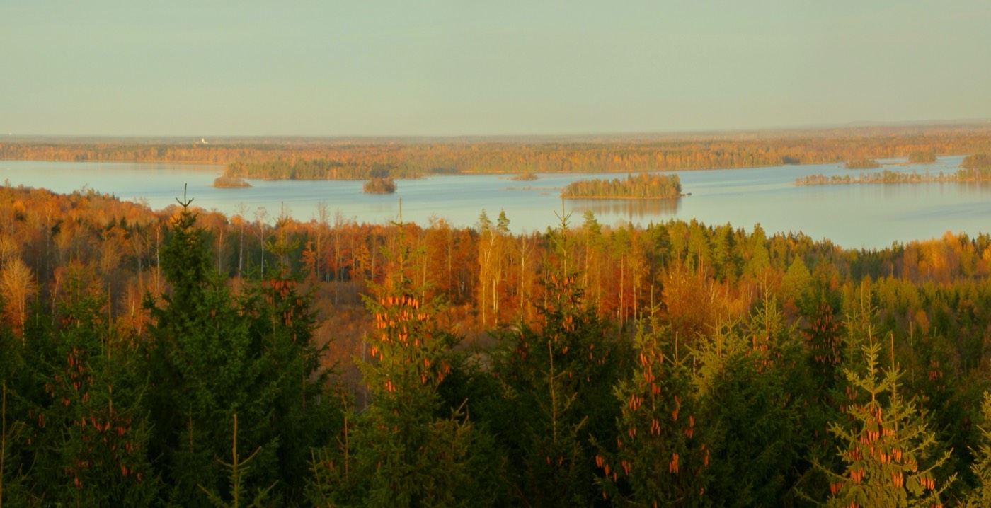 The Peterson surname: Smaland, Sweden