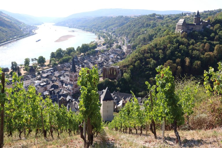The Schmidt surname: the Rhine valley at Bacharach, Germany