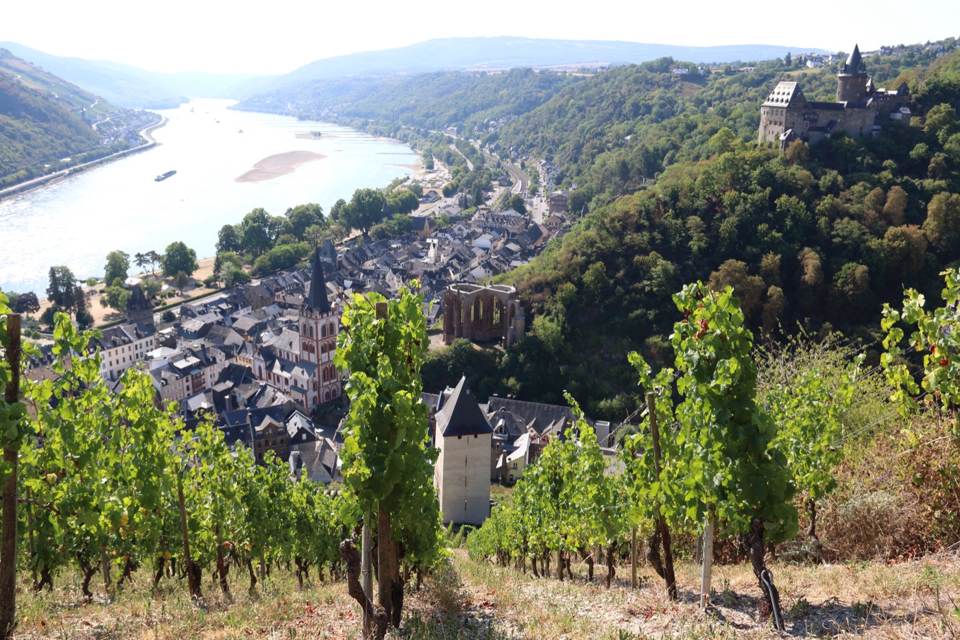 The Schmidt surname: the Rhine valley at Bacharach, Germany