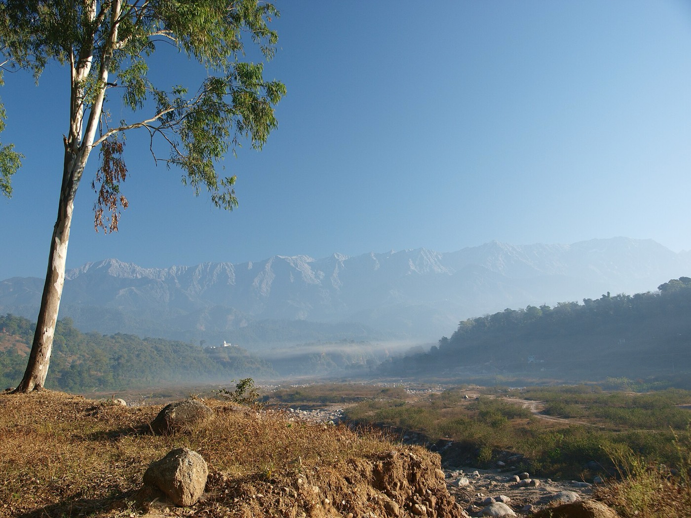 The Sharma surname: Kangra Valley, Himachal Pradesh