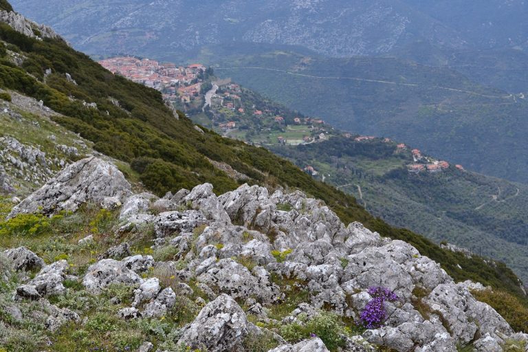 The Spanos surname: Central Greece