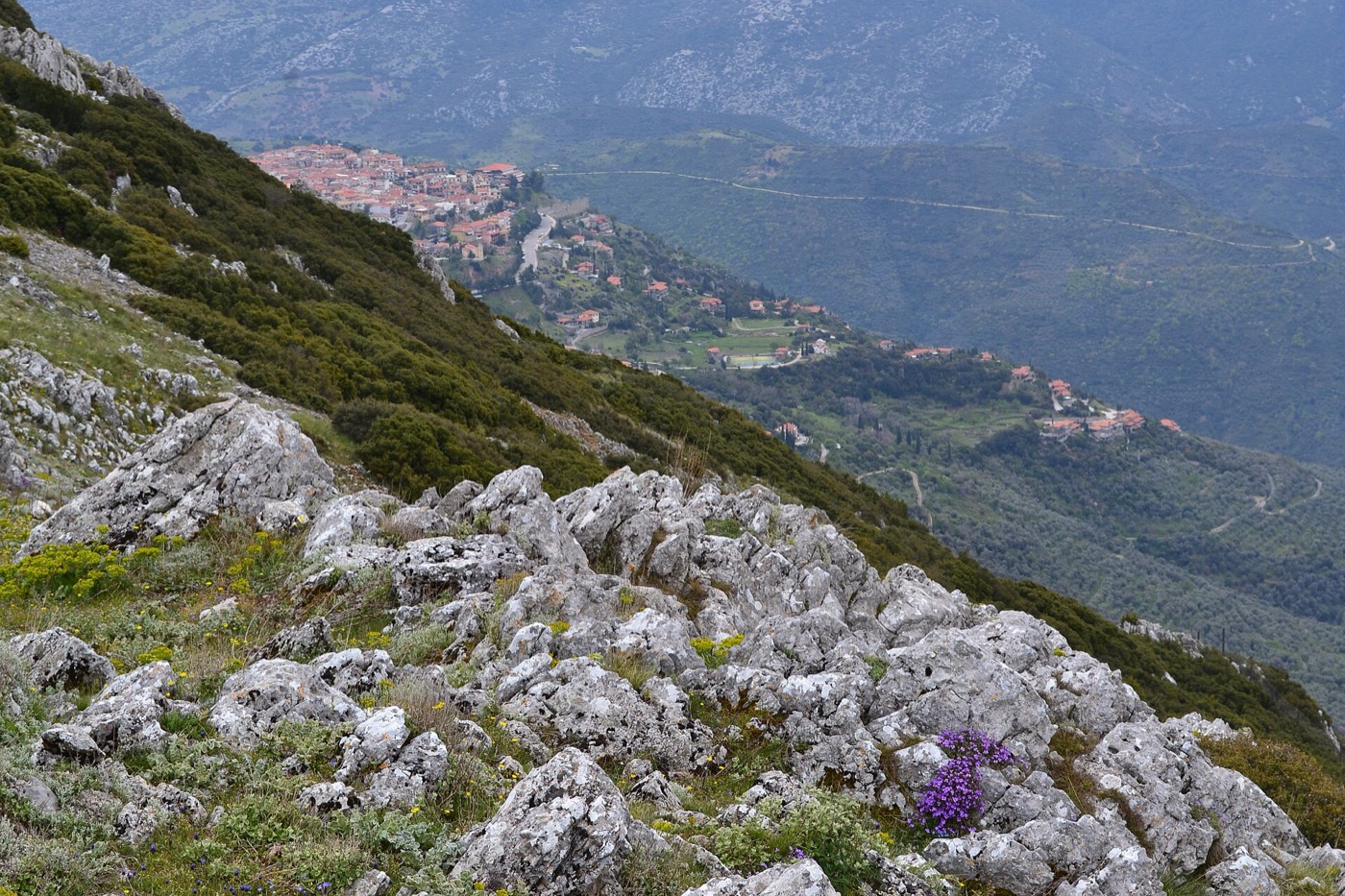 The Spanos surname: Central Greece