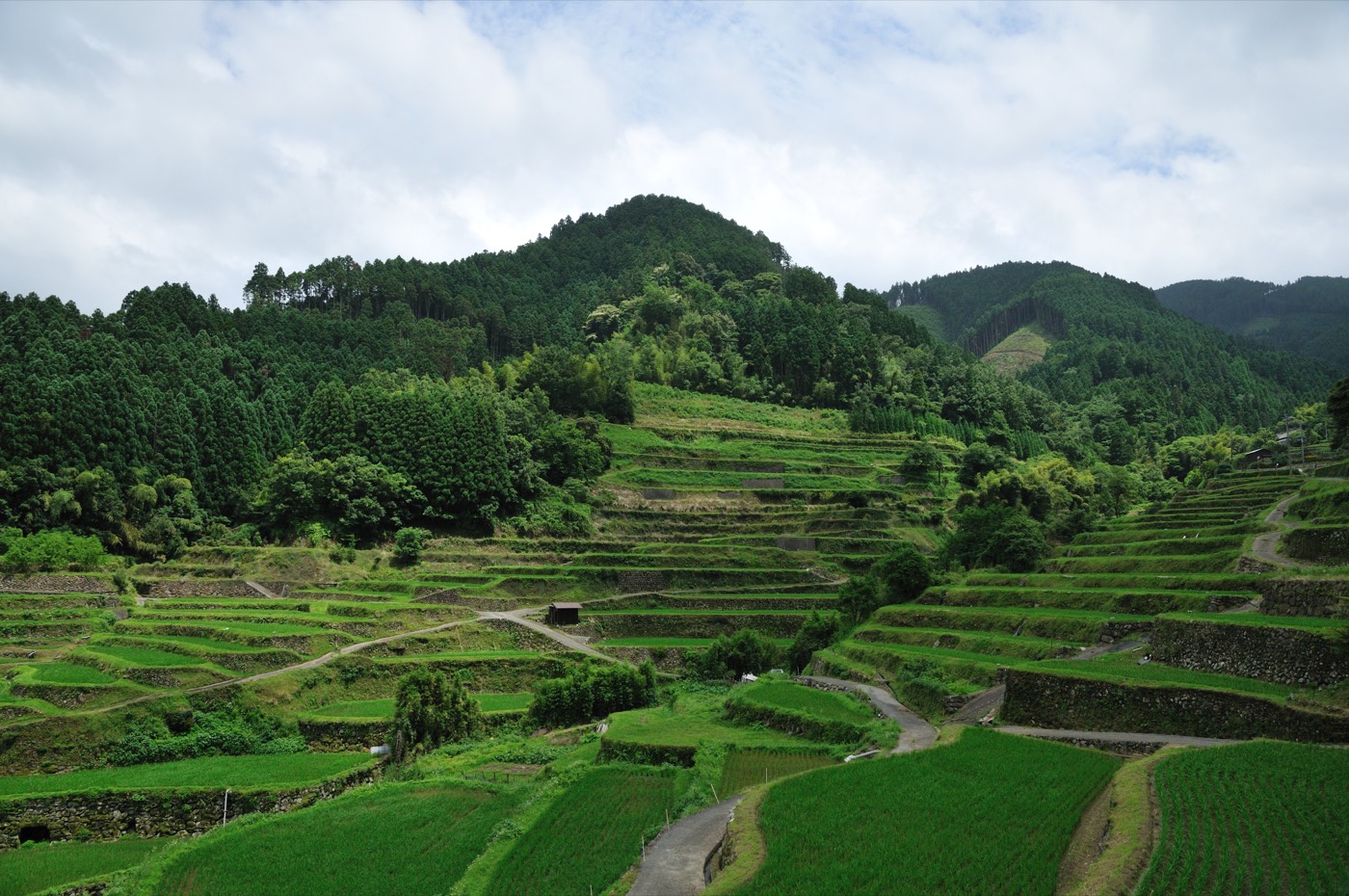 The Tanaka surname: terraced rice fields at Ukiha, Fukuoka Prefecture