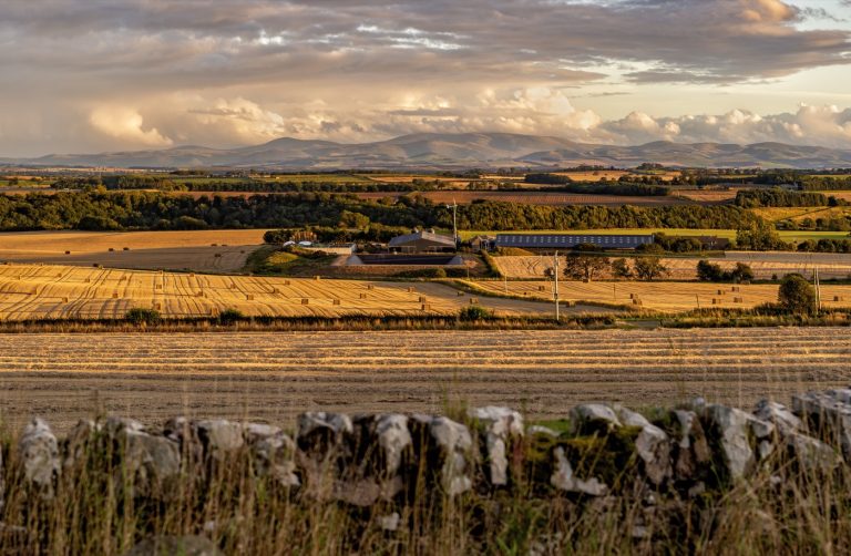 The Watson surname: the Scottish Borders looking towards the Cheviot Hills
