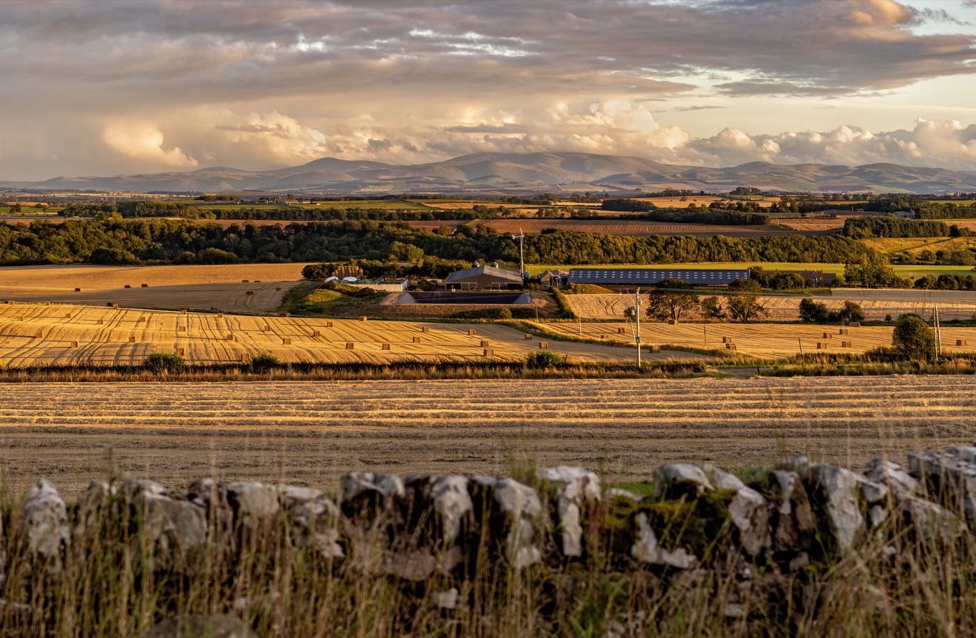 The Watson surname: the Scottish Borders looking towards the Cheviot Hills