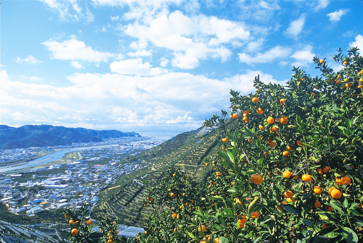 The Yamamoto surname: Wakayama Prefecture, western Japan