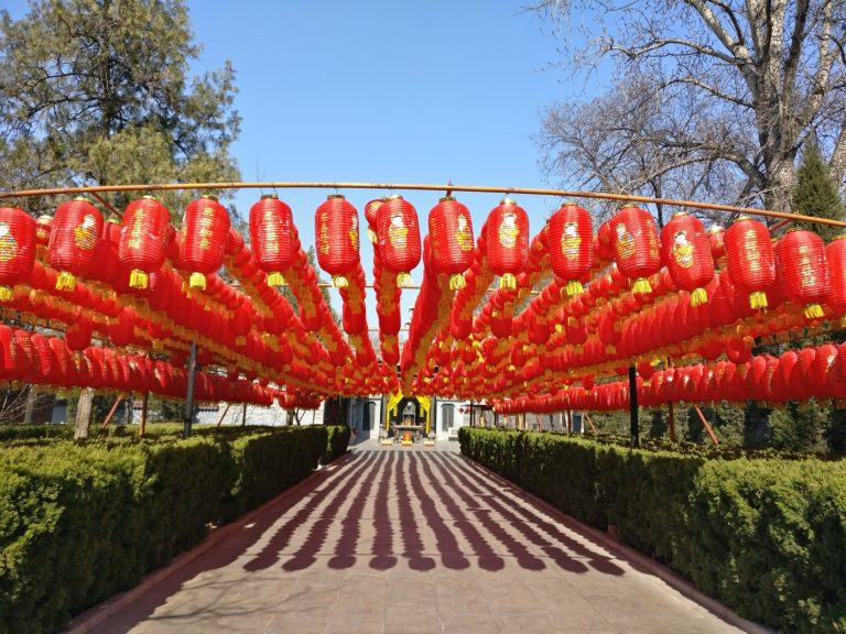 The Yang surname: Hongdong County, Shanxi